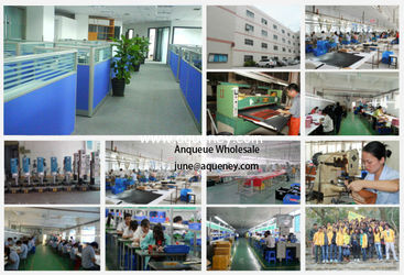 ANQUEUE Technology Co.,Ltd